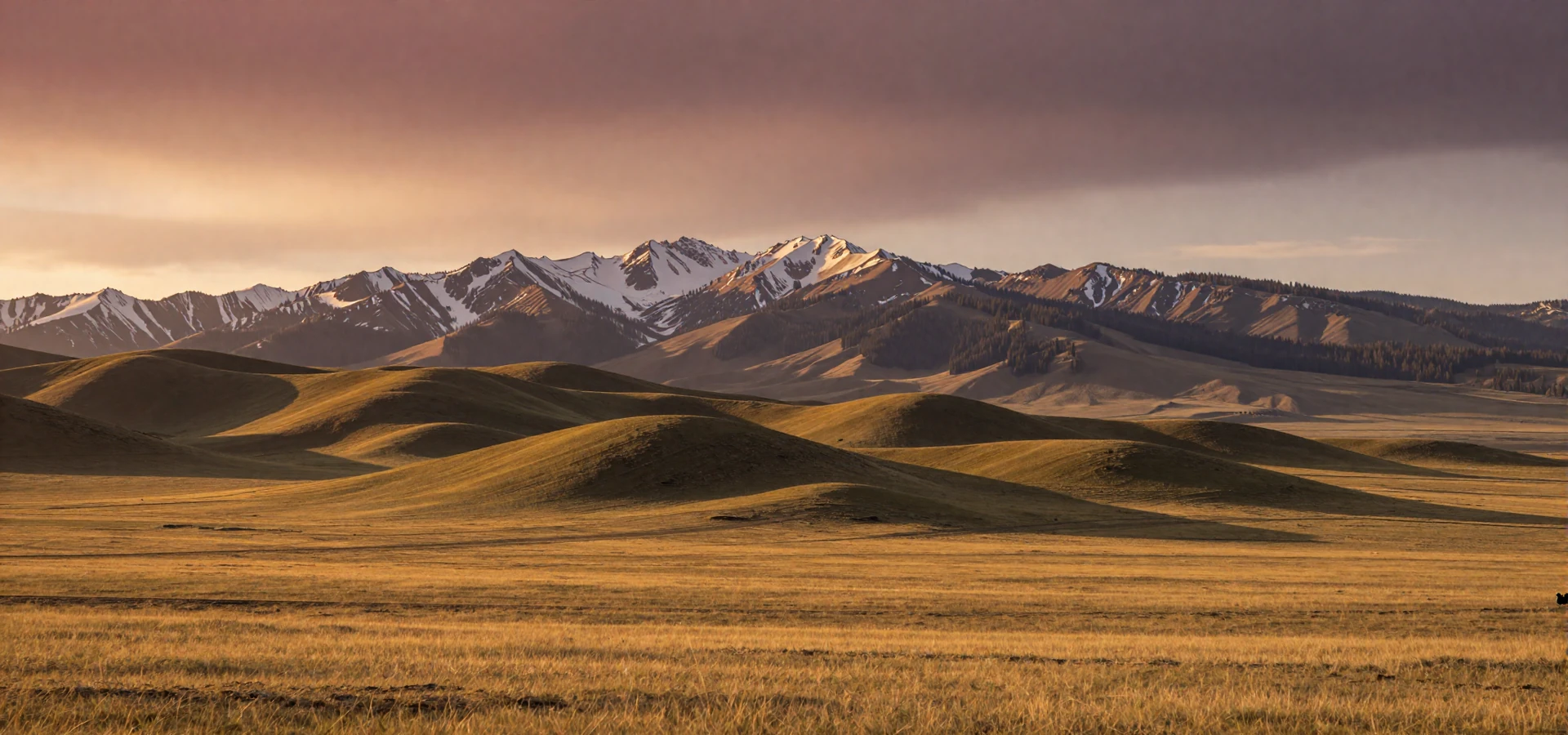 Golden Kazakh steppe landscape with Tien Shan mountains at sunset representing Kazakh women dating culture
